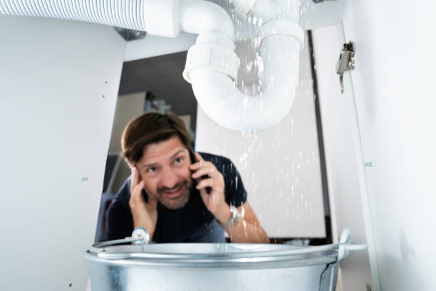 Best Clogged Drain Plumber  in Watkins Glen, NY