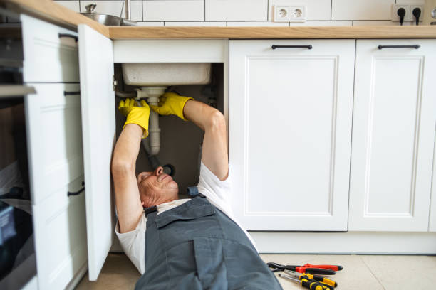 Best Plumbing Inspection Services  in Watkins Glen, NY